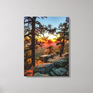 Sunset Mogollon Rim Arizona Pine Trees 18x24 Canvas Afdruk
