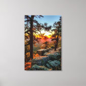 Sunset Mogollon Rim Arizona Pine Trees 24x36 Canvas Afdruk (Voorkant)
