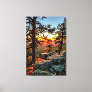 Sunset Mogollon Rim Arizona Pine Trees 24x36 Canvas Afdruk