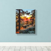 Sunset Mogollon Rim Arizona Pine Trees 8x10 Canvas Afdruk (Insitu (Houten vloer))