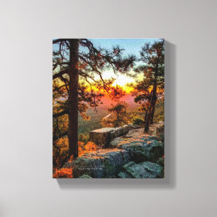 Sunset Mogollon Rim Arizona Pine Trees 8x10 Canvas Afdruk