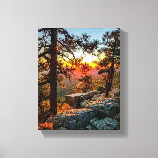 Sunset Mogollon Rim Arizona Pine Trees 8x10 Canvas Afdruk (Voorkant)