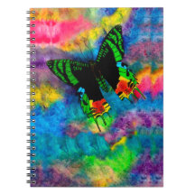 Sunset Moth 6,5 x 8,75