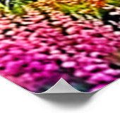 Sunset Mountain Lake Majesty Art Poster (Hoek)