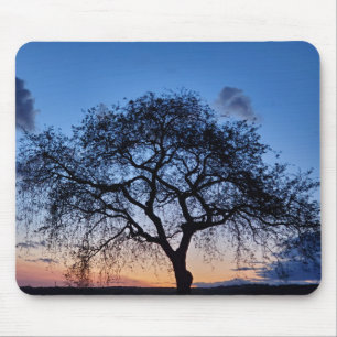 Sunset Muismat