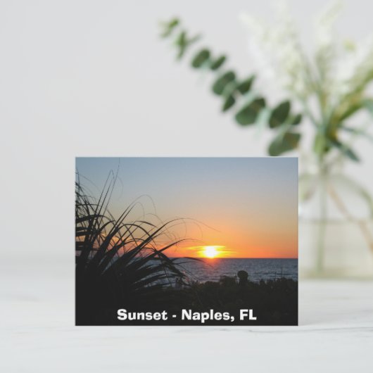 Sunset - Napels, FL Briefkaart (Staand voorkant)