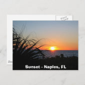 Sunset - Napels, FL Briefkaart (Voorkant / Achterkant)