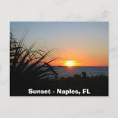 Sunset - Napels, FL Briefkaart (Voorkant)
