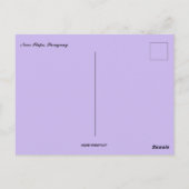 Sunset Near Itape Paraguay Briefkaart (Achterkant)