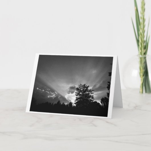 Sunset/Noir, kaart (Voorkant)