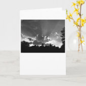 Sunset/Noir, kaart (Gele Bloem)