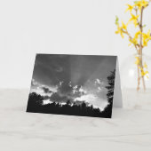 Sunset/Noir, kaart (Gele Bloem)