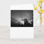 Sunset/Noir, kaart (Gele Bloem)