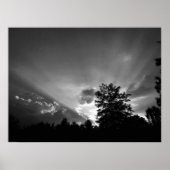 Sunset / Noir Poster (Voorkant)