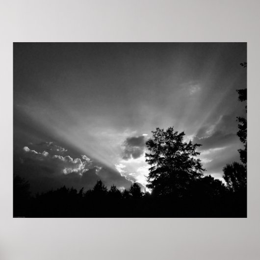 Sunset / Noir Poster (Voorkant)