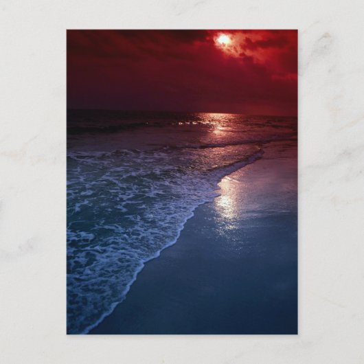 Sunset, oceaanzand, zand, zeeoor, Florida, VS Briefkaart (Voorkant)