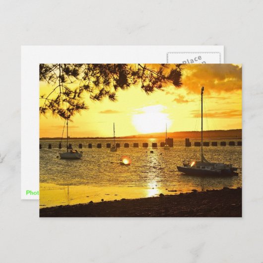 Sunset of Hayling Island Briefkaart (Voorkant / Achterkant)