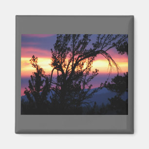 Sunset of Island Lakes Magnet