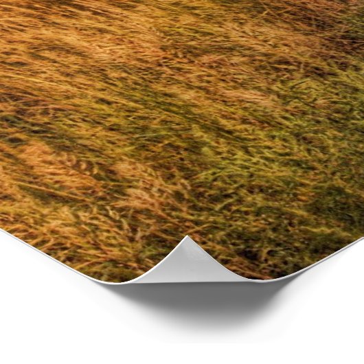 Sunset on a country road poster (Hoek)