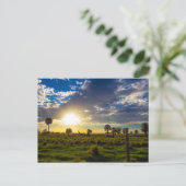 Sunset on a Florida Ranch Briefkaart (Staand voorkant)