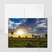 Sunset on a Florida Ranch Briefkaart (Voorkant / Achterkant)
