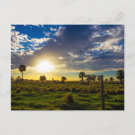 Sunset on a Florida Ranch Briefkaart