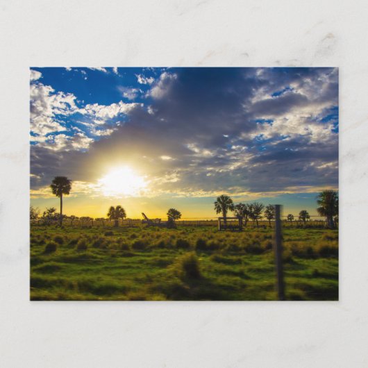 Sunset on a Florida Ranch Briefkaart (Voorkant)