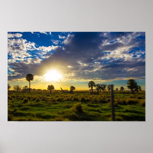 Sunset on a Florida Ranch Poster (Voorkant)