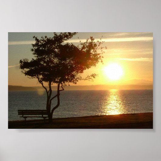 Sunset on Beach Drive Poster (Voorkant)
