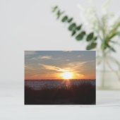 Sunset on Chincoteague Island. Briefkaart (Staand voorkant)