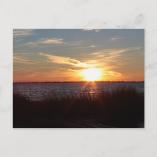 Sunset on Chincoteague Island. Briefkaart