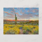 Sunset on Desert Landscape Briefkaart (Voorkant)