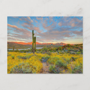 Sunset on Desert Landscape Briefkaart