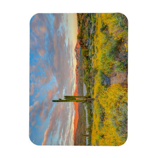 Sunset on Desert Landscape Magneet (Verticaal)