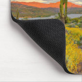 Sunset on Desert Landscape Muismat (Hoek)