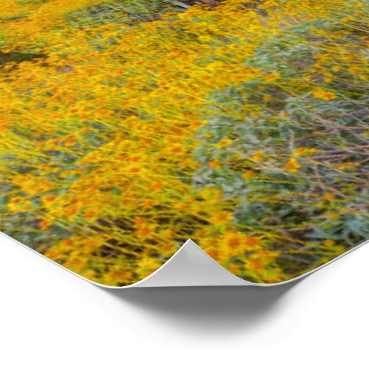 Sunset on Desert Landscape Poster (Hoek)