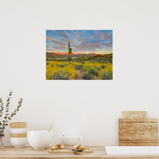 Sunset on Desert Landscape Poster (Keuken)