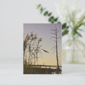 Sunset on Louisiana Swamp Briefkaart (Staand voorkant)