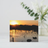 Sunset on Pond Briefkaart (Staand voorkant)