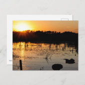 Sunset on Pond Briefkaart (Voorkant / Achterkant)