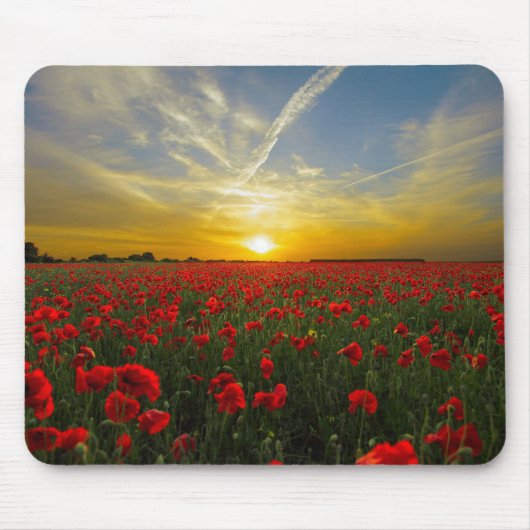 Sunset on Poppyfield - HAMbyWhiteGlove Muismat (Voorkant)
