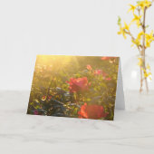 Sunset on Roos Struik Kaart (Gele Bloem)