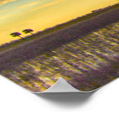 Sunset on South Florida Ranchland Poster (Hoek)