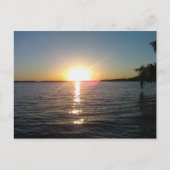 Sunset on the Bayou Briefkaart (Voorkant)