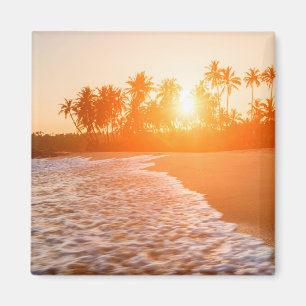 Sunset on the Beach with Coconut Palms Sri Lanka Magneet