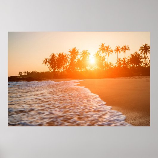 Sunset on the Beach with Coconut Palms | Sri Lanka Poster (Voorkant)