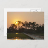 Sunset on the Carolina Coast Briefkaart (Voorkant / Achterkant)