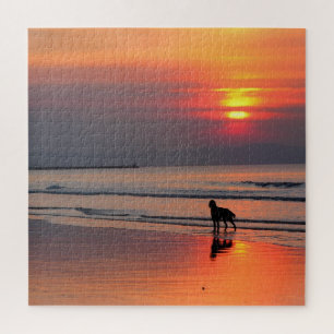 Sunset on the Irish Zee - 20x20 - 676 pcs Legpuzzel