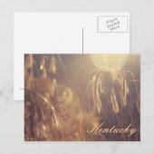 Sunset on the Mountain Briefkaart (Voorkant / Achterkant)