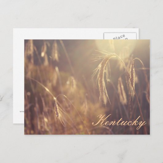 Sunset on the Mountain Briefkaart (Voorkant / Achterkant)